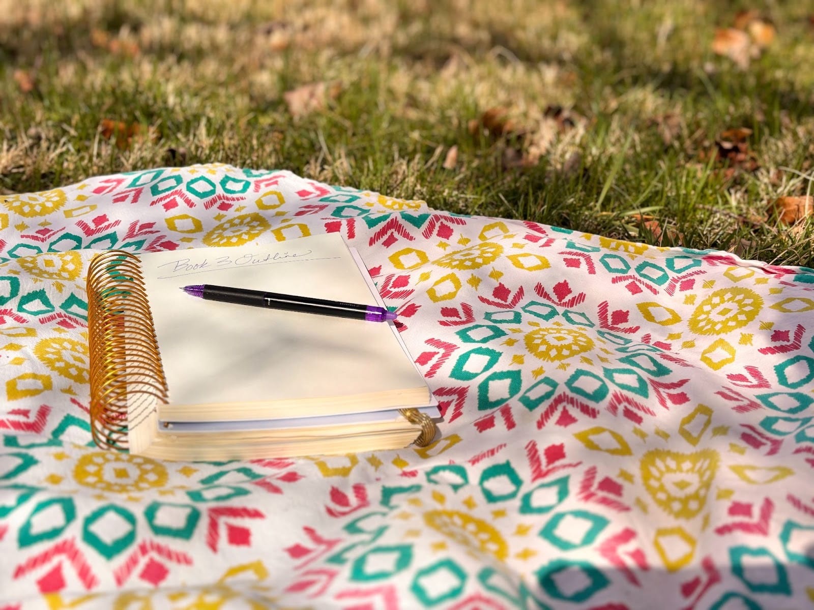 Journal on picnic blanket in park