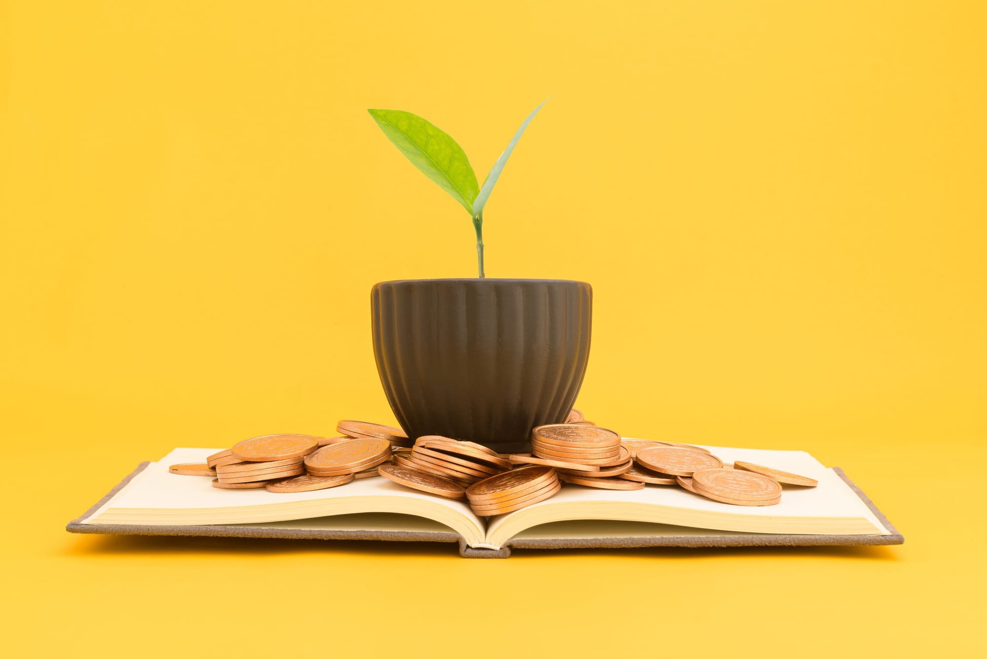 Seedling on top of book and money pile