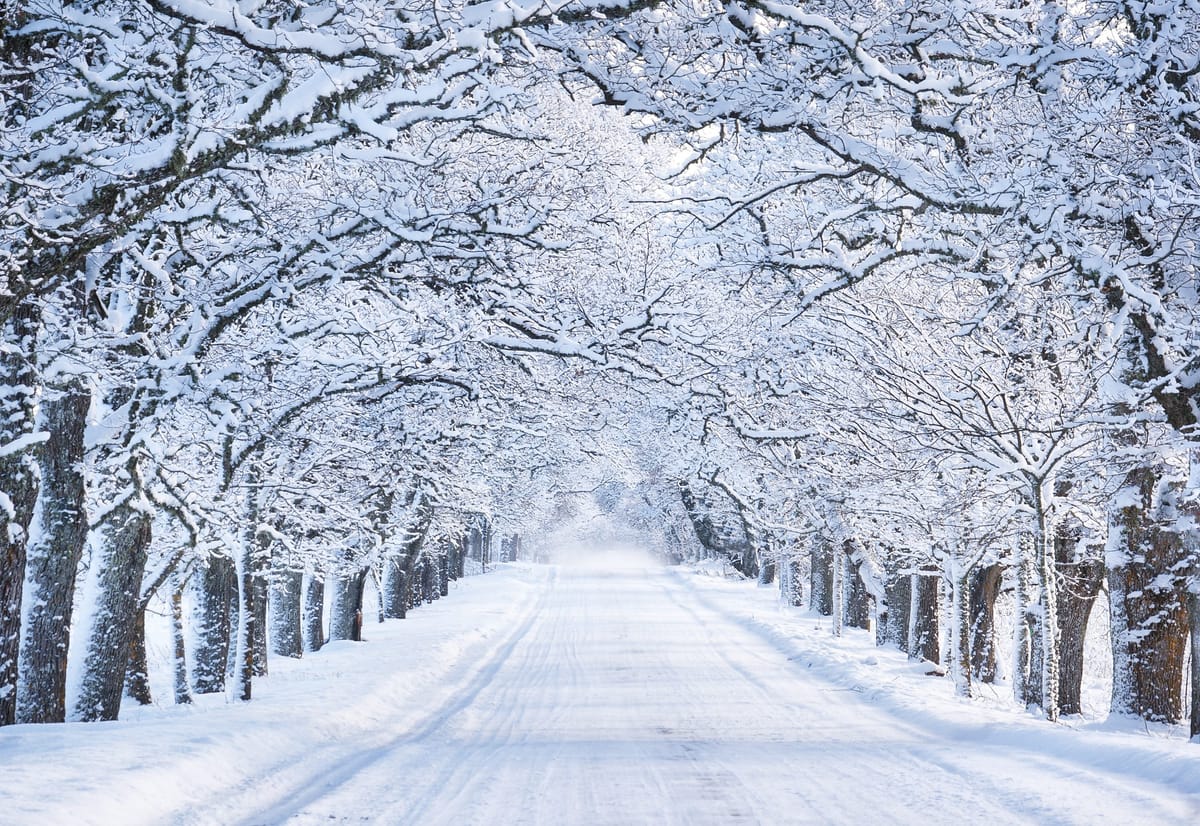 Winter Writing Mistakes: Authenticity in Snowy Settings