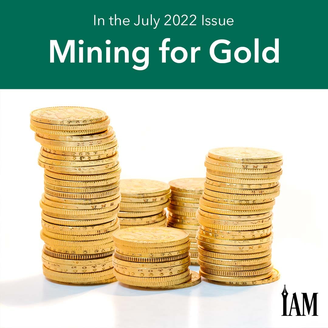 Backlist Book Profit Strategies for Indie Authors