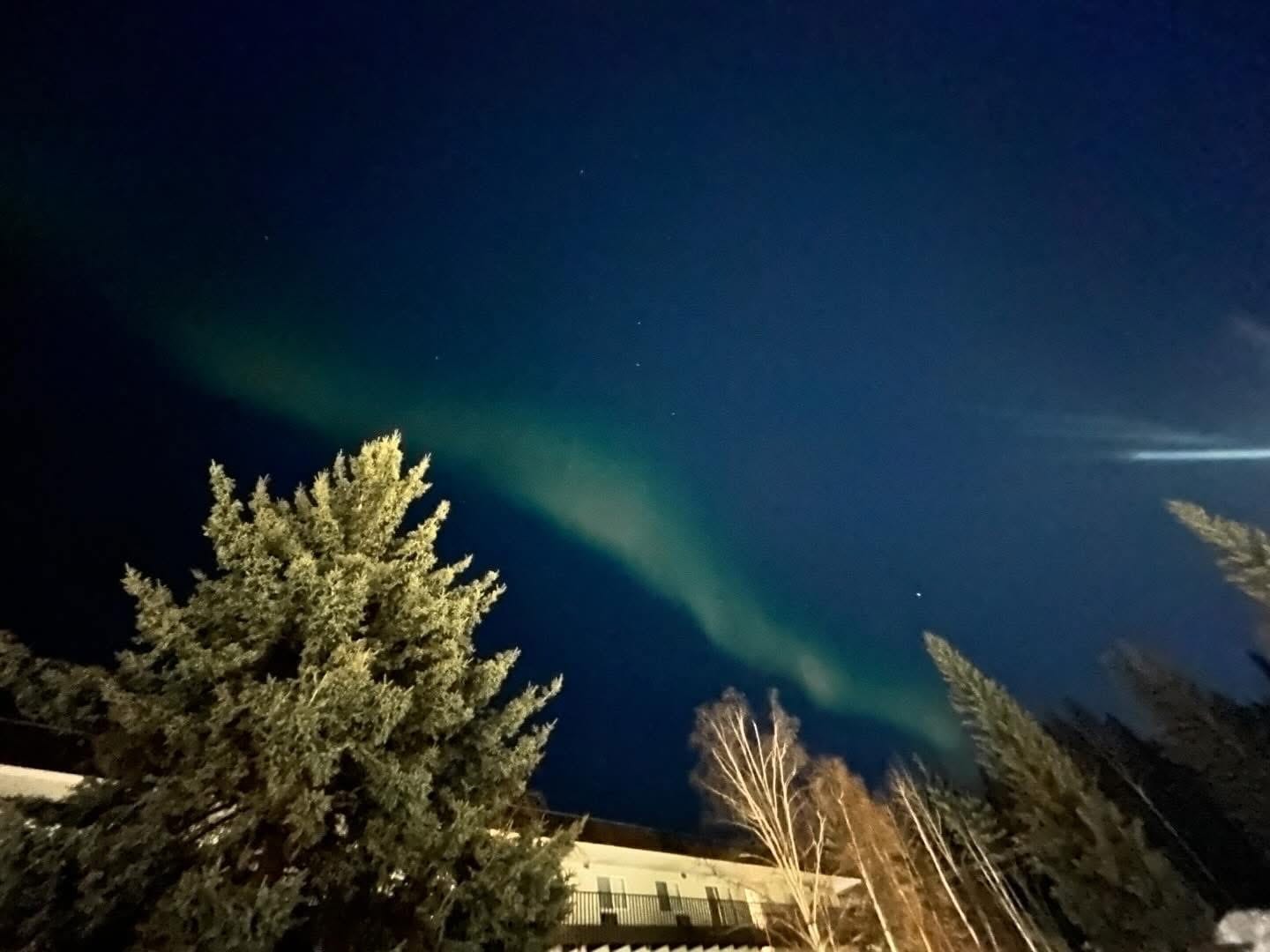 Own Your Indie Author Sales: Take Control Now